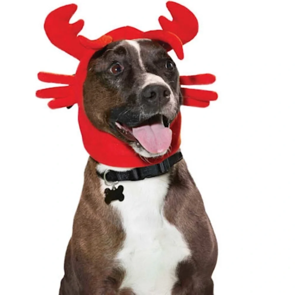 NWT Halloween Lobster Dog Costume S/M